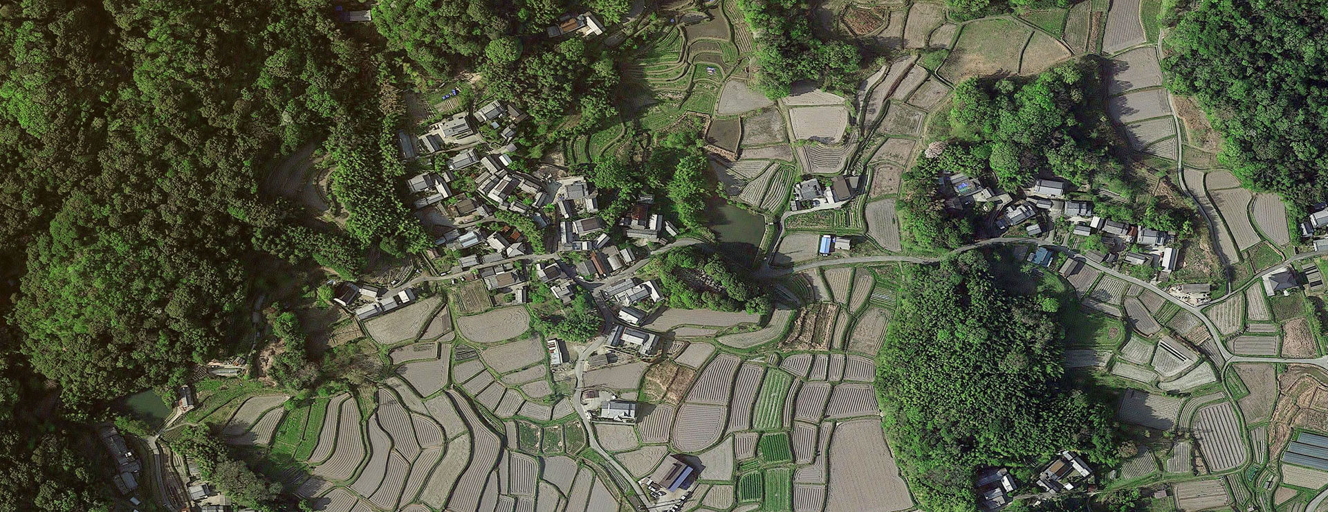 农田谷歌地图高清卫星影像